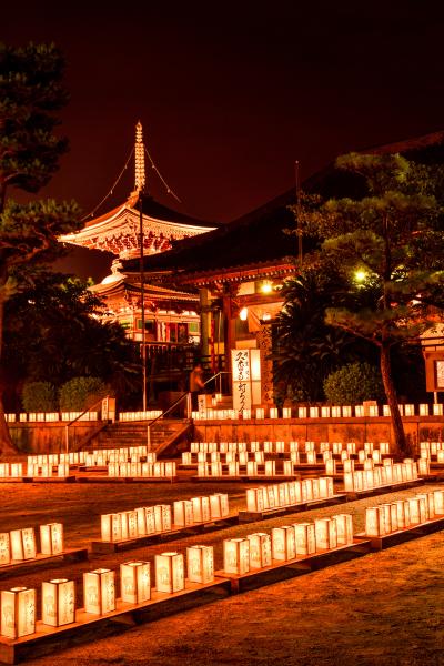 久米田寺の夜景（灯ろう会の様子）