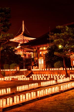 灯ろうが並べられた久米田寺