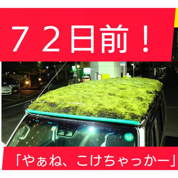 72日前の写真